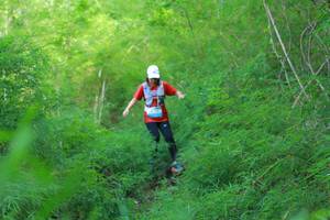 BIB: 
                            <button type="button" onclick="openModal(22096514)" class="btn btn-primary btn-sm float-right btn-popup" data-toggle="modal" data-target=".modal-high-quality">
                        <i class="fas fa-shopping-cart"></i> Add to Cart
                    </button>
                                            <button type="button" onclick="isThisMe(22096514, true)" class="btn btn-success btn-sm float-right btn-popup btn-isme hidden" data-toggle="tooltip" data-placement="bottom" title="นี่คือรูปของคุณใช่ไหม คลิกที่นี่เพื่อเอาเข้าอัลบั้ม">
                        <i class="fas fa-plus"></i> Add to album
                    </button>
                    <button type="button" onclick="isThisMe(22096514, false)" class="btn btn-warning btn-sm float-right btn-popup btn-isnotme hidden">
                        <i class="fas fa-ban"></i> Remove from album
                    </button>